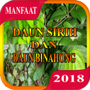 APK Manfaat Daun Sirih Dan Daun Binahong