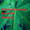 20 Benefits of Papaya Leaf APK