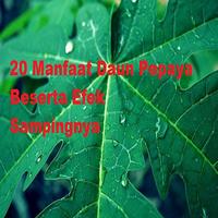 20 Benefits of Papaya Leaf Affiche