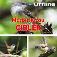 Master Kicau Ciblek Terbaik-poster