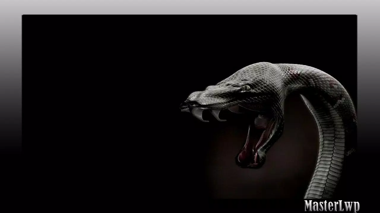 Python Wallpaper Apk للاندرويد تنزيل