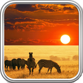 South Africa Wallpaper