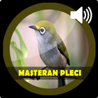 Masteran Burung Pleci Gacor Terbaik Zeichen