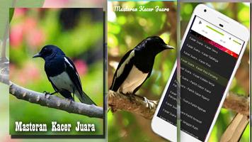 Master magpie Champion screenshot 1