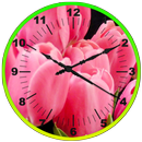 Tulips Clock Live Wallpaper APK
