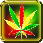 Marijuana Wallpapers & Backgrounds ไอคอน