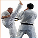Martial Arts Techniques APK