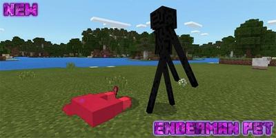 Ender Pet Add-on for MCPE Affiche