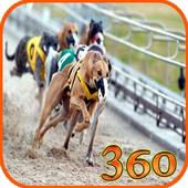 Dog Racing Track VR Wallpapers icon
