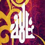 The 99 Names of Allah ikona