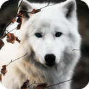 White Wolf Live Wallpaper APK
