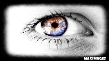 Colorful Eye Wallpaper اسکرین شاٹ 1