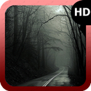 Dark Forest Wallpaper APK