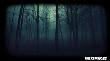 Dark Forest Wallpaper Poster