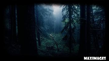 Dark Forest Wallpaper captura de pantalla 1