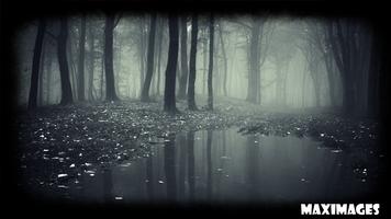 Dark Forest Wallpaper اسکرین شاٹ 3