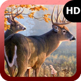 آیکون‌ Deer Wallpaper