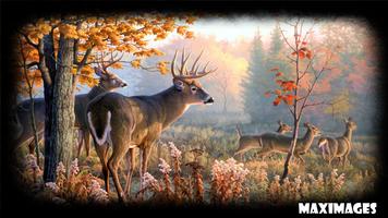 Deer Wallpaper Affiche