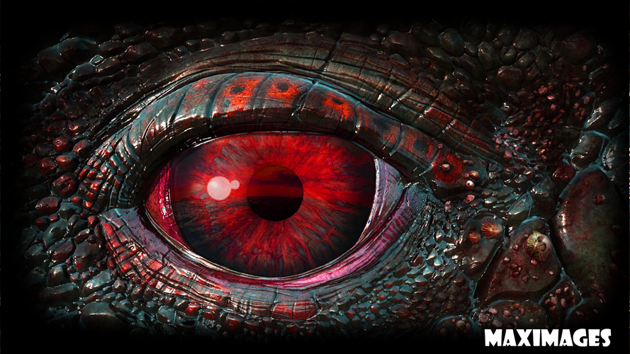 Dragon Eyes Dragon Eyes