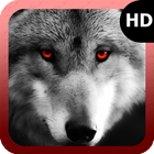 Wolf Eyes Wallpaper icône
