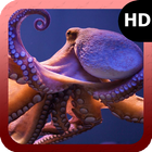 Octopus Wallpaper ikona