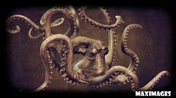 Octopus Wallpaper ภาพหน้าจอ 2