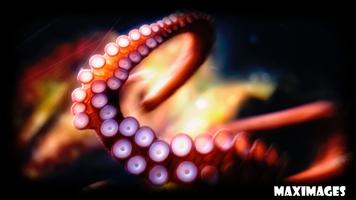 Octopus Wallpaper ภาพหน้าจอ 3