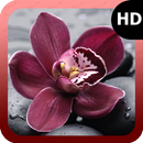 Orchid Wallpaper APK