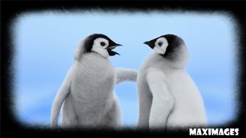 Penguin Wallpaper Ekran Görüntüsü 2
