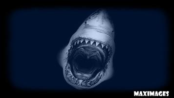 Shark Wallpaper পোস্টার