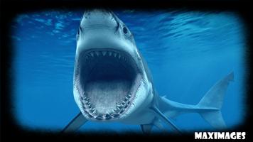 Shark Wallpaper স্ক্রিনশট 3