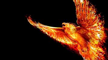 Phoenix Live Wallpaper capture d'écran 1