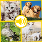 Baby Animal Sound آئیکن