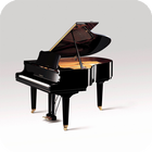 Piano Live Wallpaper أيقونة