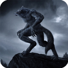 Werewolf Live Wallpaper أيقونة