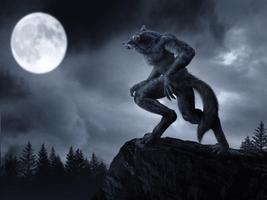 Werewolf Live Wallpaper الملصق