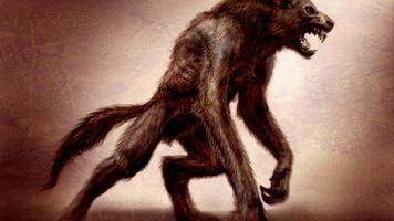 Werewolf Live Wallpaper capture d'écran 1