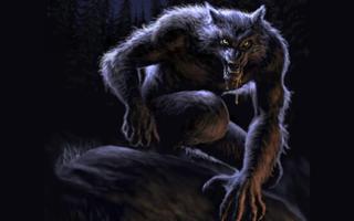 Werewolf Live Wallpaper capture d'écran 2