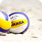 Volleyball Live Wallpaper أيقونة