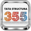 Tata Structura 355
