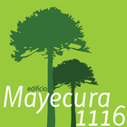 Icona Mayecura - ISA