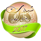 آیکون‌ شيلات متنوعة 2017