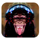 Monkey Music Player APK