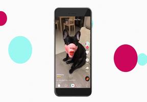 New Tik Tok and Musically Live Video Library Tips capture d'écran 1
