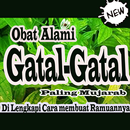 Obat Gatal Alami Paling Ampuh-APK