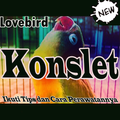 Melatih Lovebird Ngekek Konslet