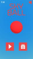 Sky Ball Plakat