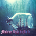 Miniature Boats In Bottle