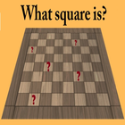 Chess What square is? icône