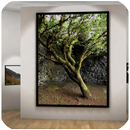 Galería Virtual VR El Hierro APK